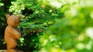 A wooden bear statue on a circular base surrounded by greenery. - Hokkaido Hotel (Obihiro)