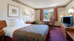 Une chambre d’hôtel équipée d’un lit, d’un bureau, d’une chaise, d’une télévision et d’une fenêtre avec des rideaux.