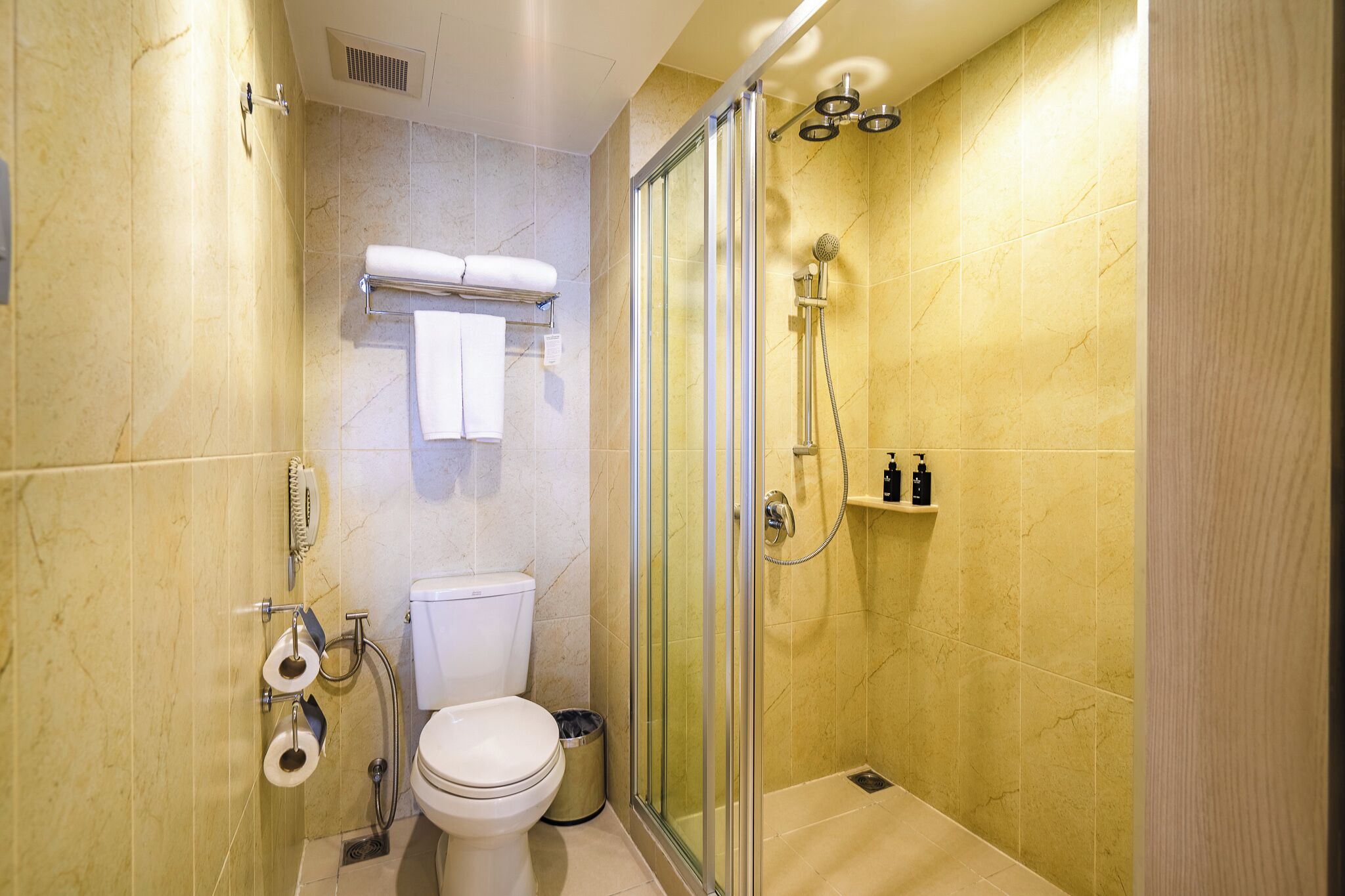 Une salle de bain moderne avec une douche à parois de verre, des toilettes et un porte-serviettes.