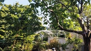 Zona de menjador a l'aire lliure amb una taula preparada per a dues persones, envoltada de vegetació abundant i una estructura de pergola.
