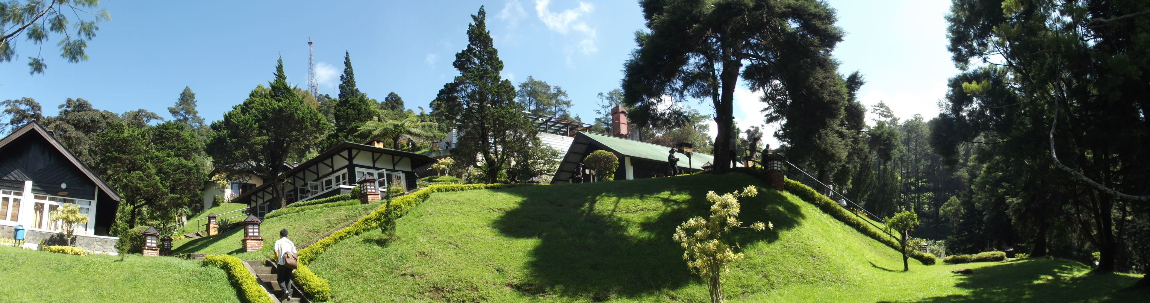A traditional Japanese-style building with a sloped roof, surrounded by lush greenery and tall trees.