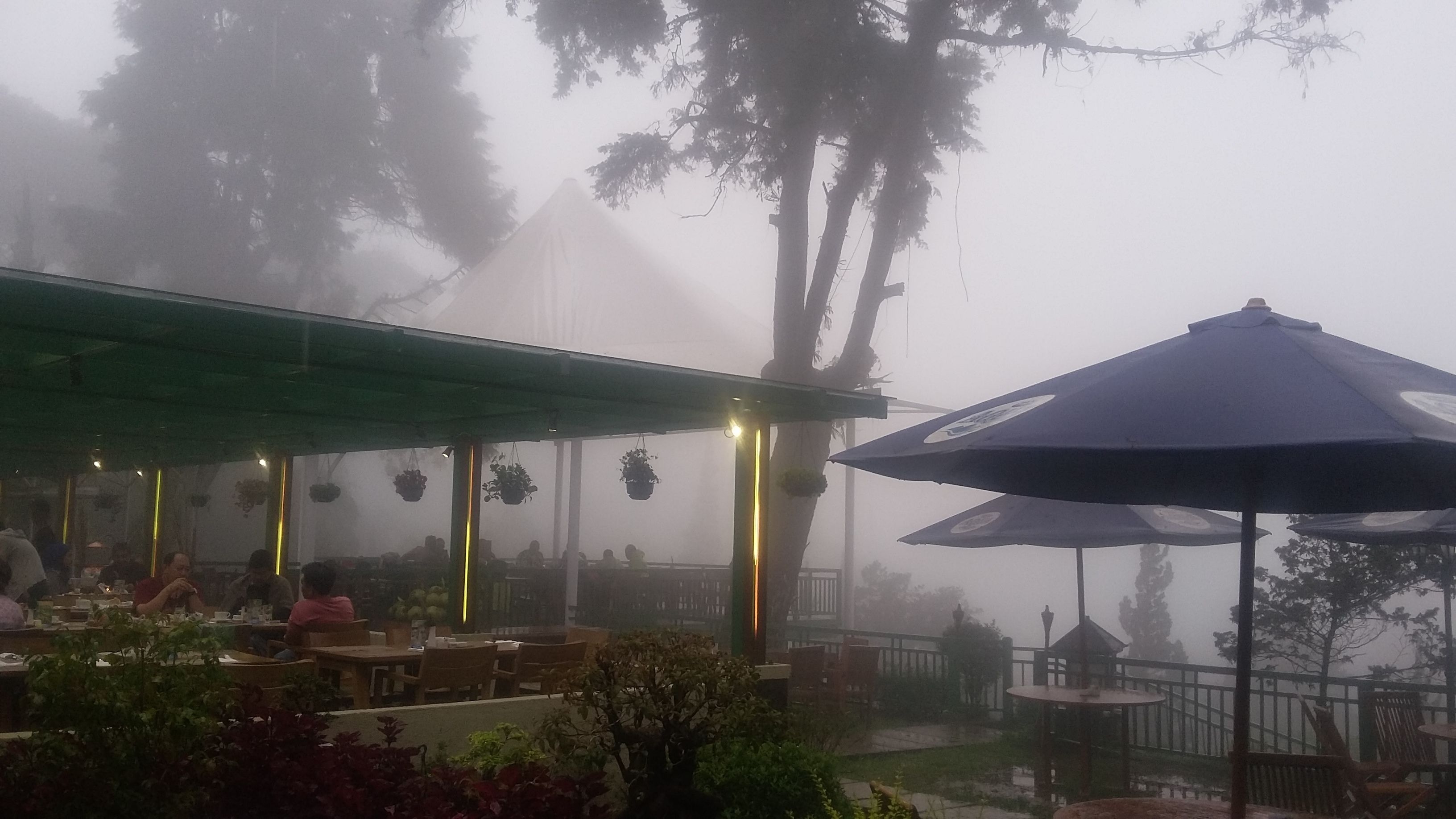 Een terras met tafels en stoelen, omgeven door bomen en afgedekt met een groen dak.
