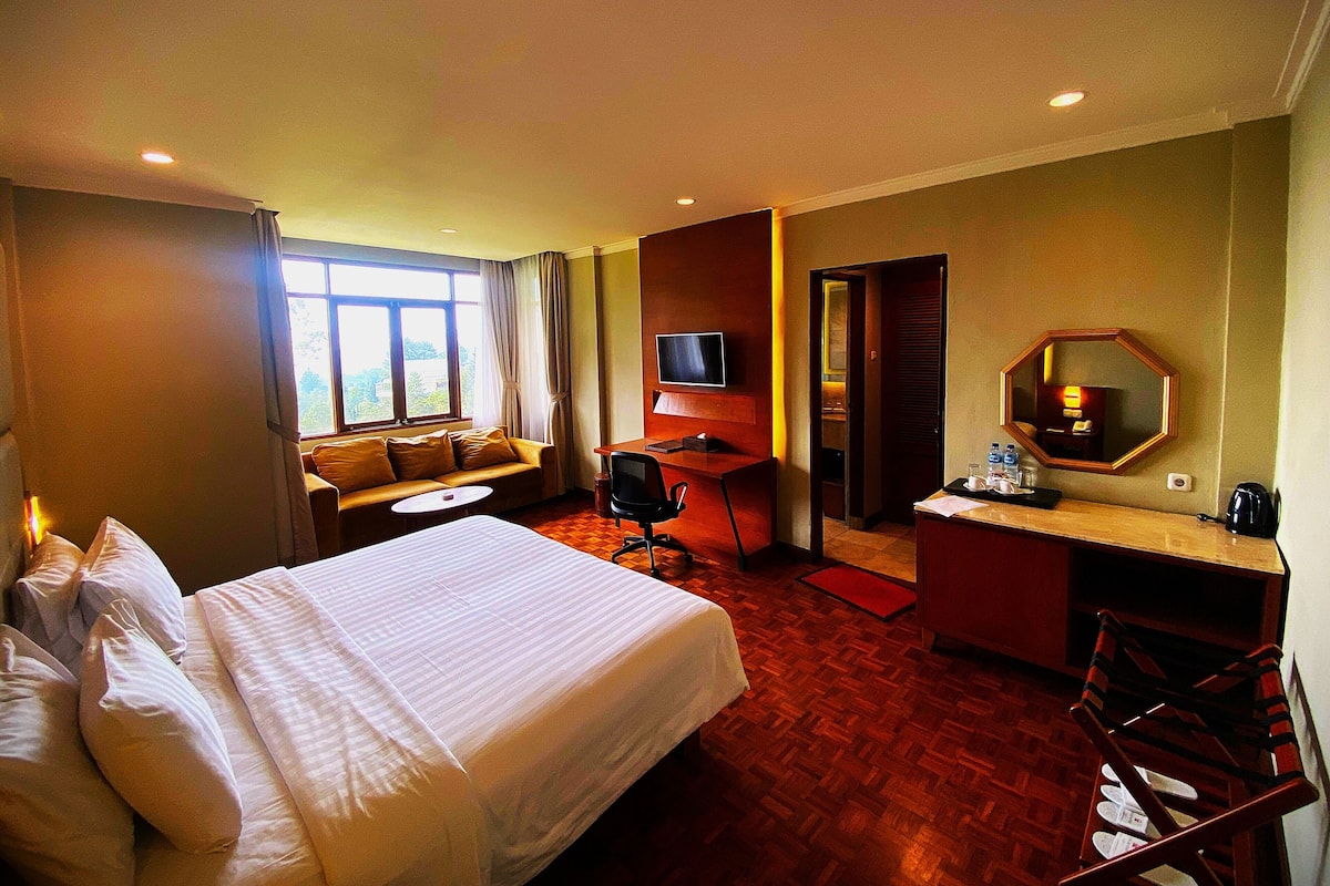 A hotel room with a bed, a desk, a sofa, a TV, and a mirror.
