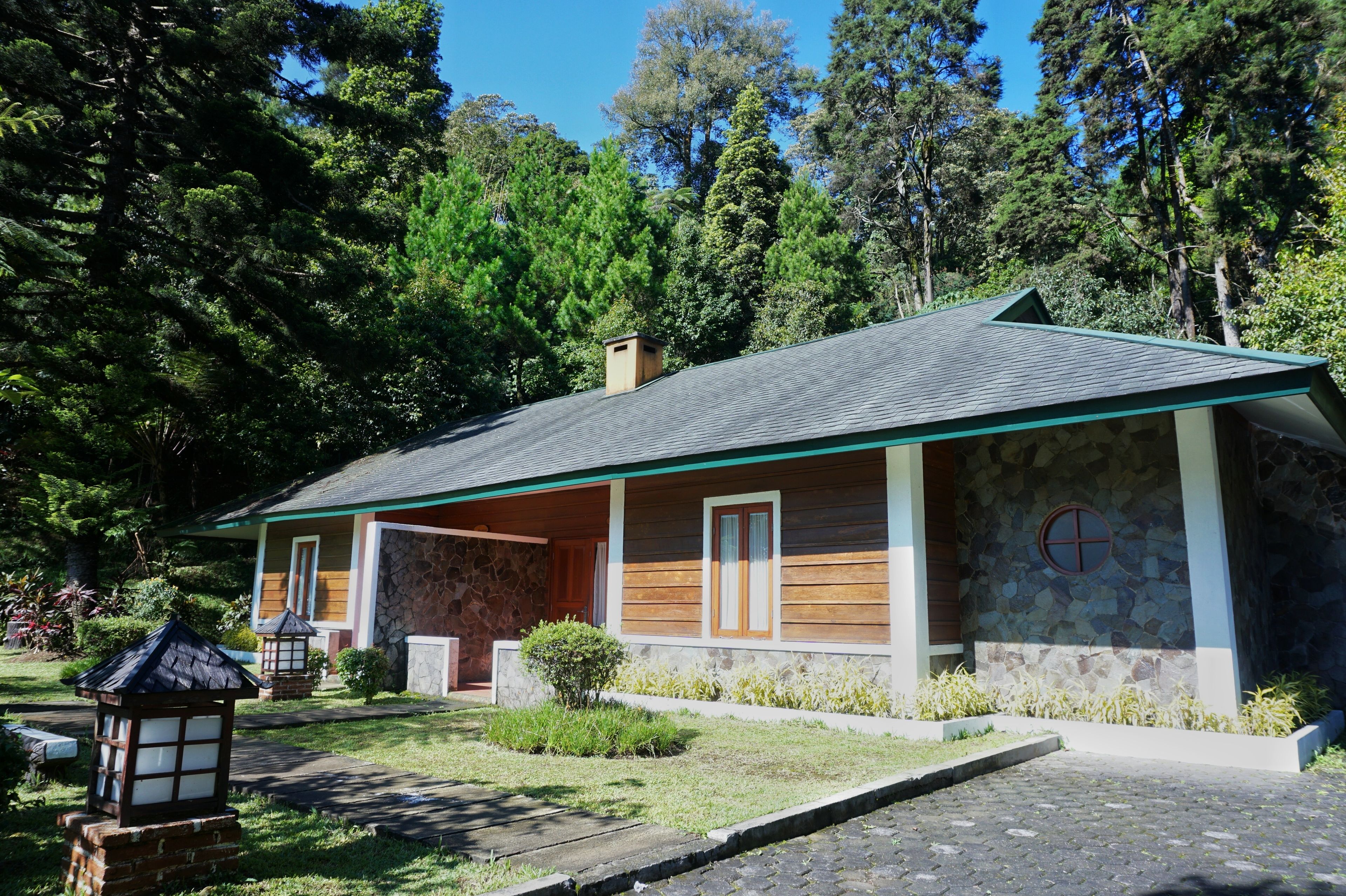 Chambre | Vue de la chambre