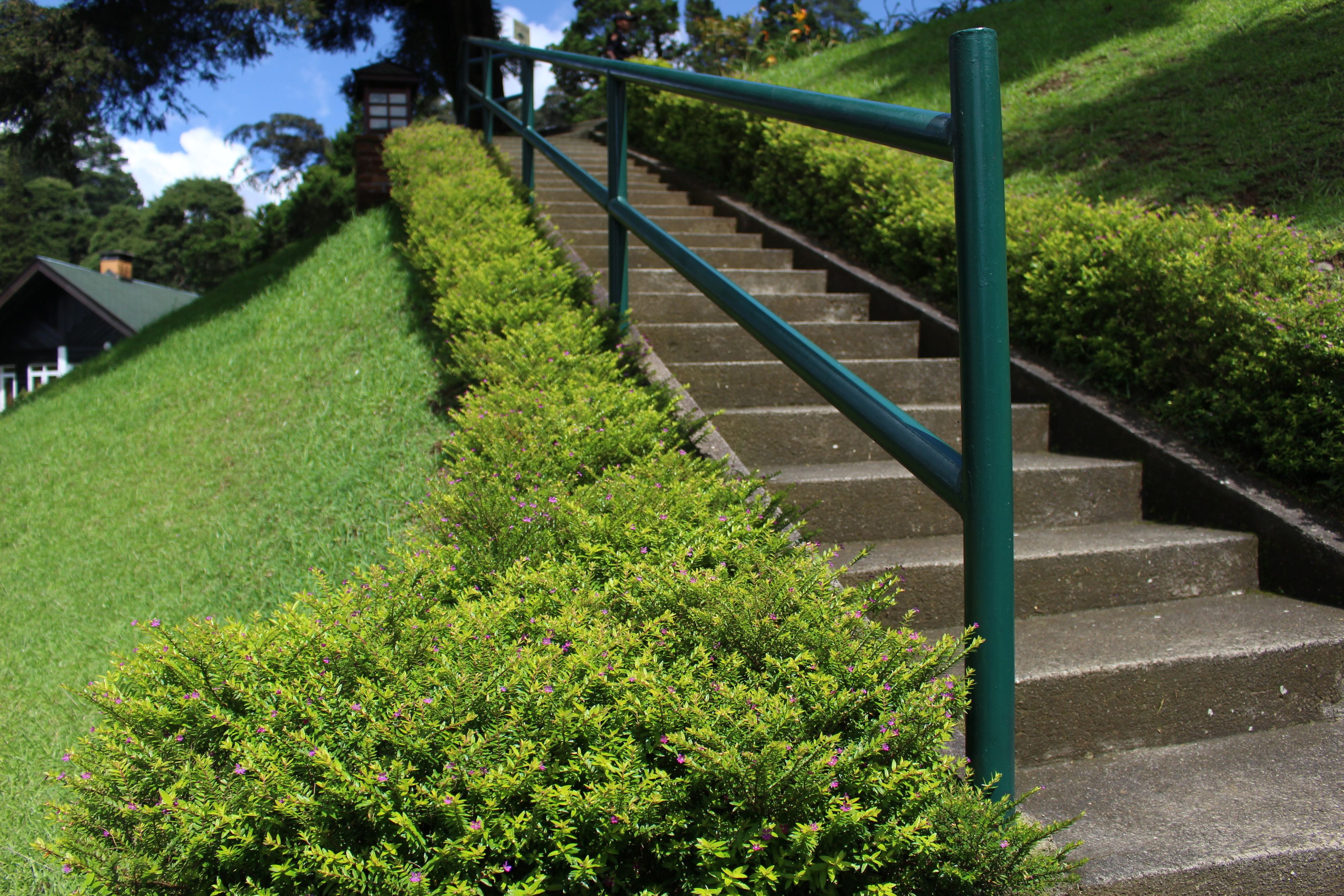 Una escalera con barandilla de metal, rodeada de follaje cuidado y un edificio al fondo.