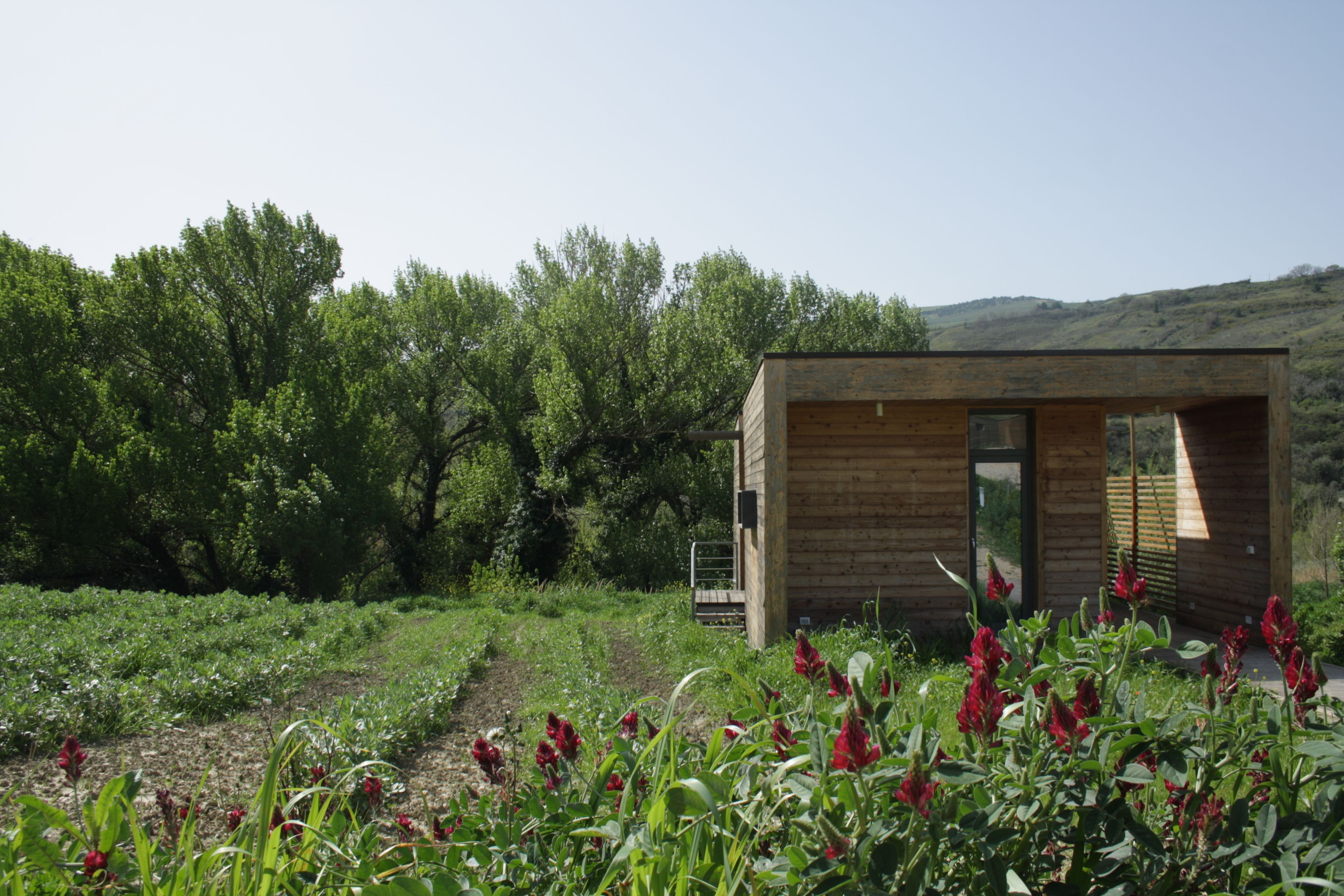 A wooden cabin with a glass door, surrounded by a garden with red flowers and green trees in the background.