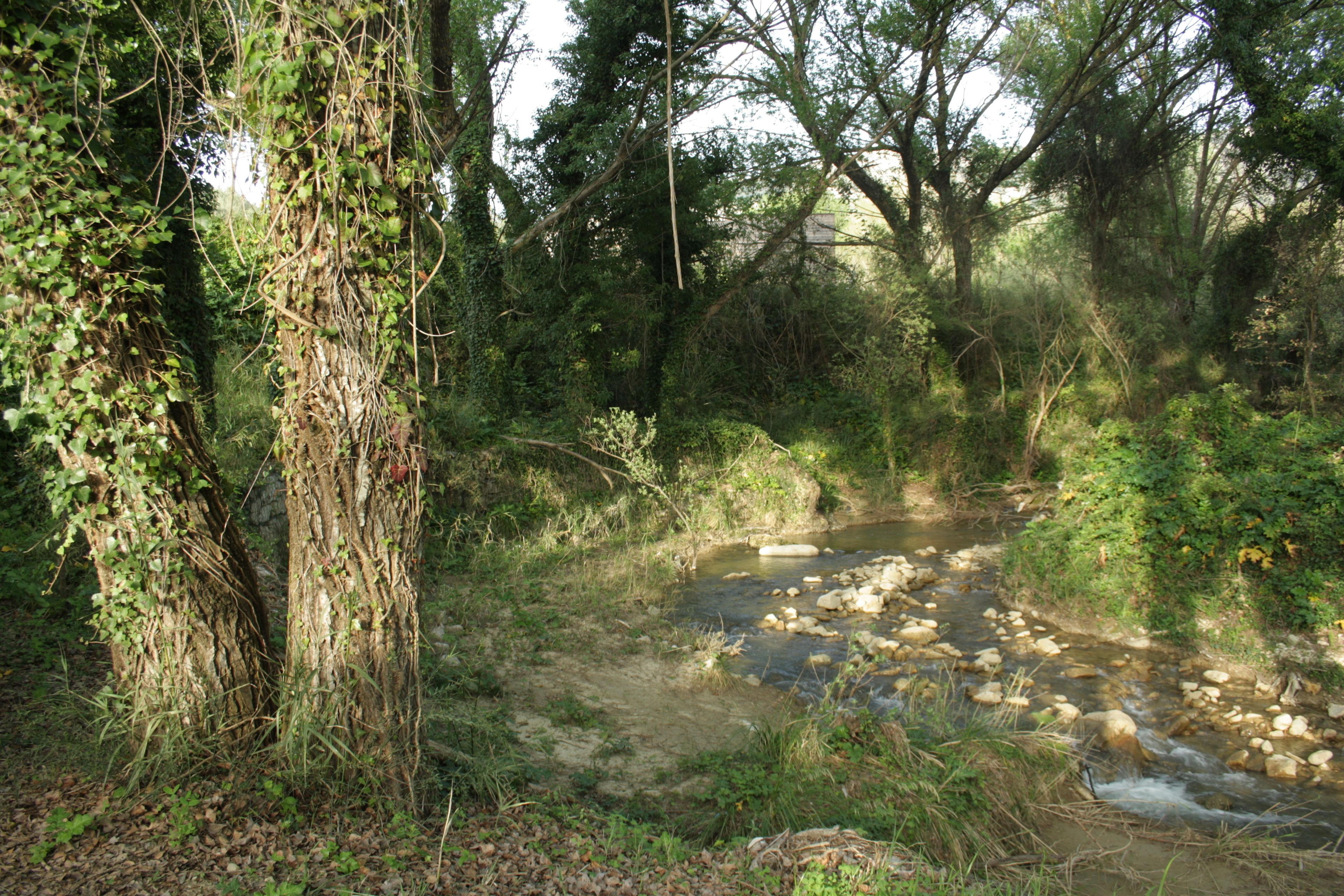A natural landscape with a stream, trees, and a rocky path.