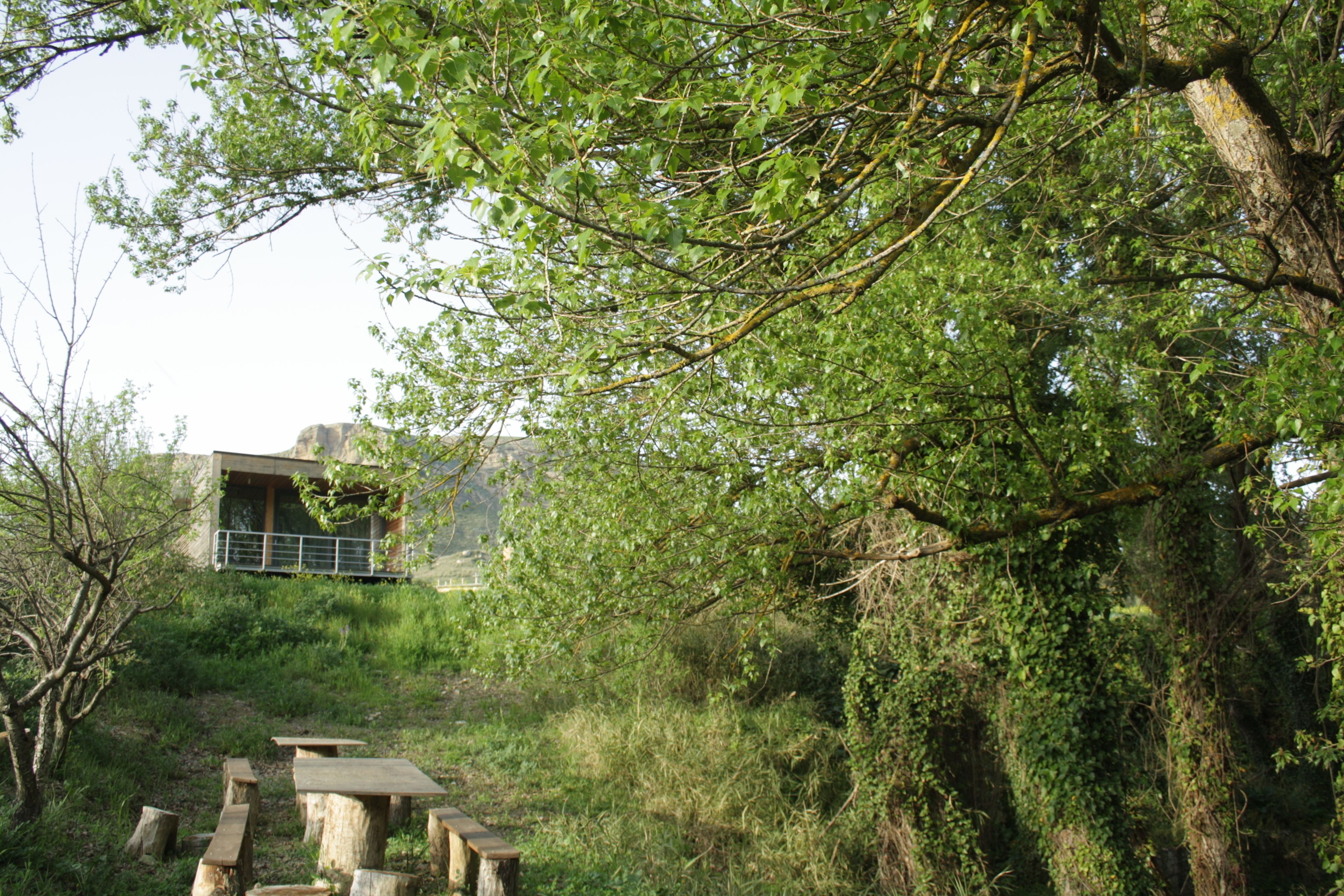 A natural setting with a wooden picnic table and benches, surrounded by trees and greenery.