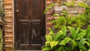 Un muro de ladrillo rústico con una puerta de madera y una pequeña jardinera de piedra con follaje.