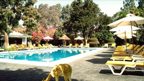 Un espace aménagé au bord de la piscine, avec des chaises longues et des parasols, entouré d’arbres et d’arbustes.