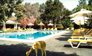 Instalaciones deportivas