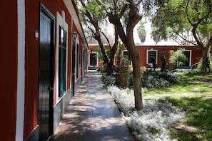 Vista desde la propiedad