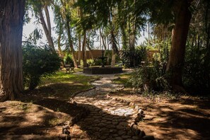 View from property - Majoro (Canaria)