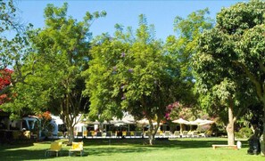 View from property - Majoro (Canaria)
