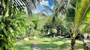 Een tuinpad omringd door weelderig groen en palmtoppen.