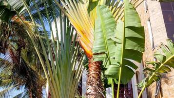 Luxury Apartment, 2 Bedrooms | View from room