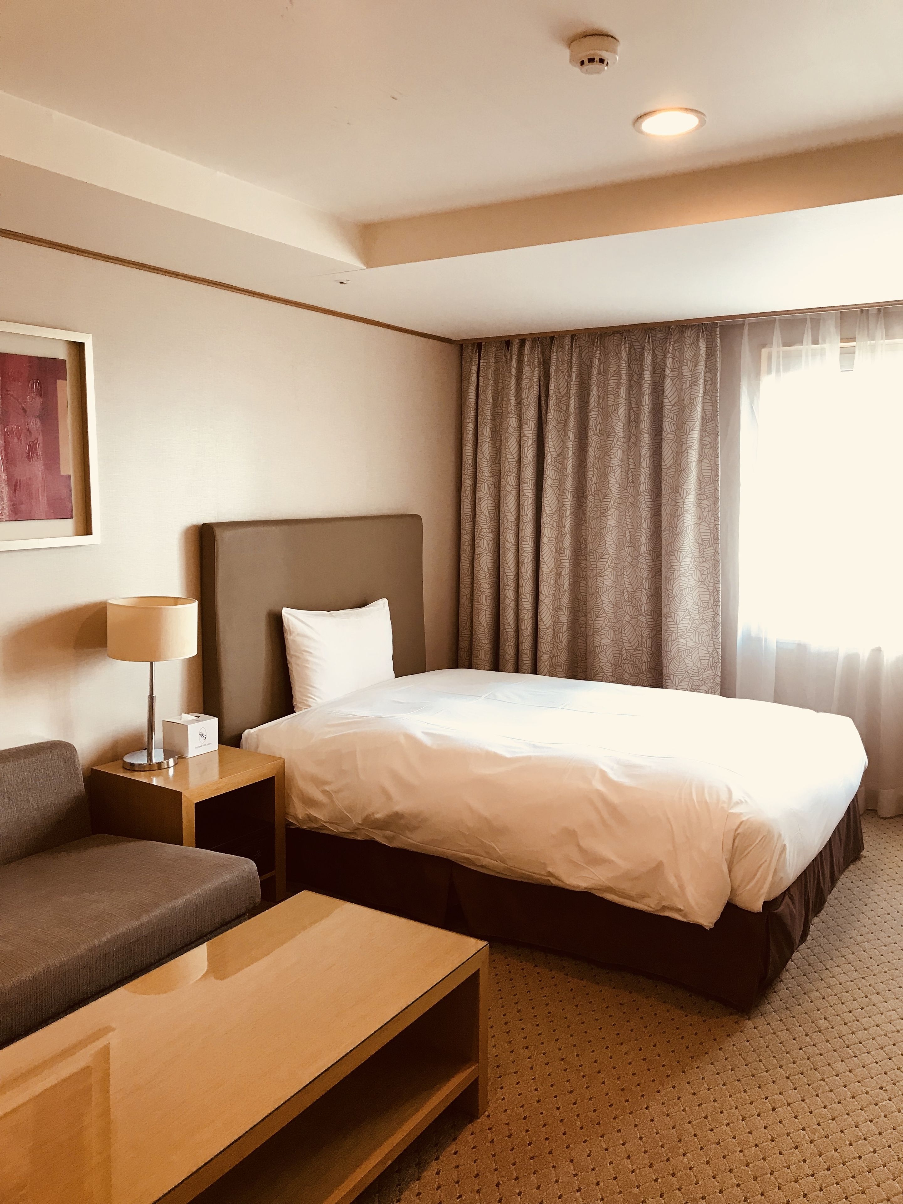 Deluxe Single Room, Non Smoking | Desk, blackout drapes, free WiFi