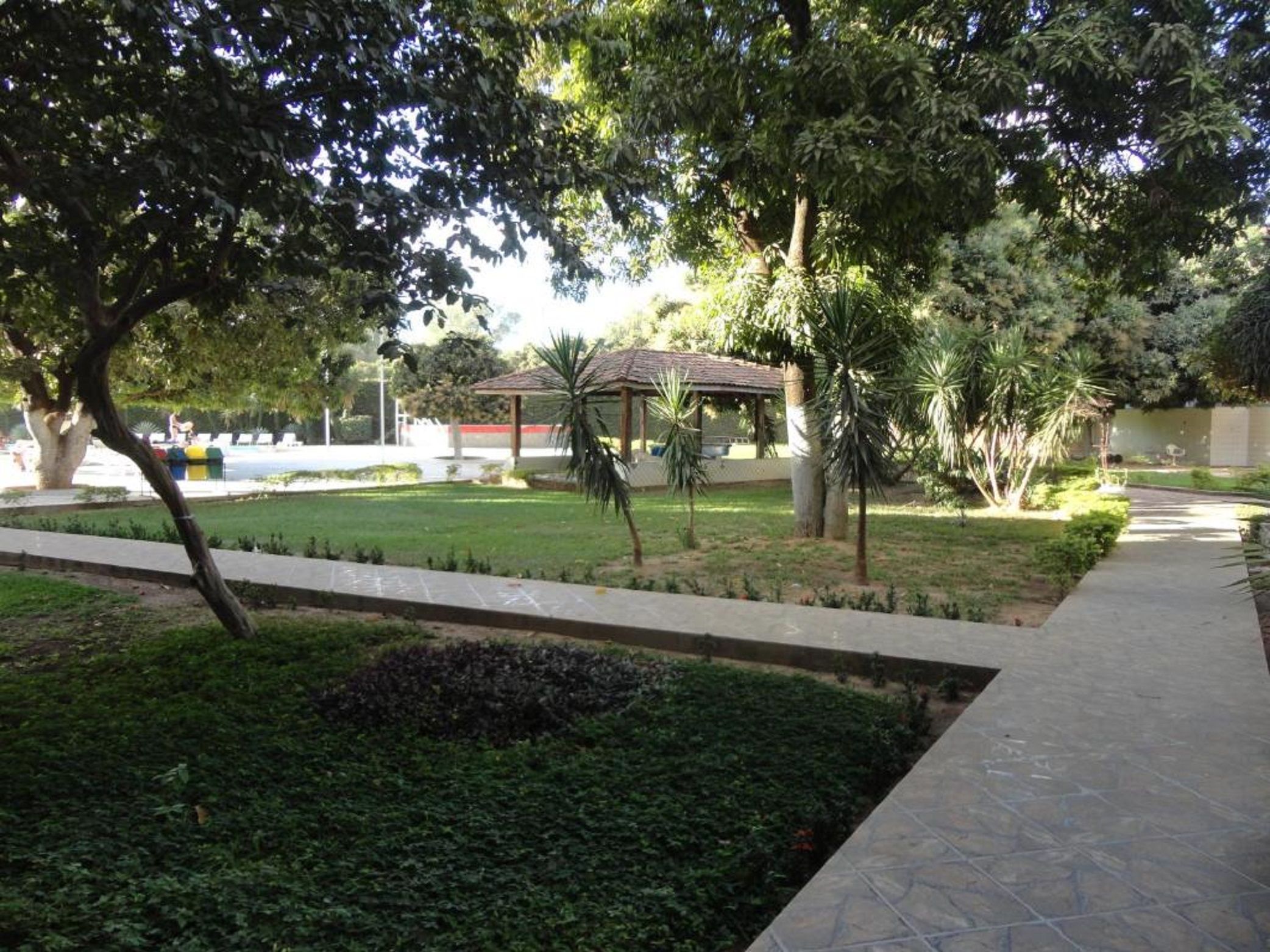 A park with a gazebo, pathways, and various trees.
