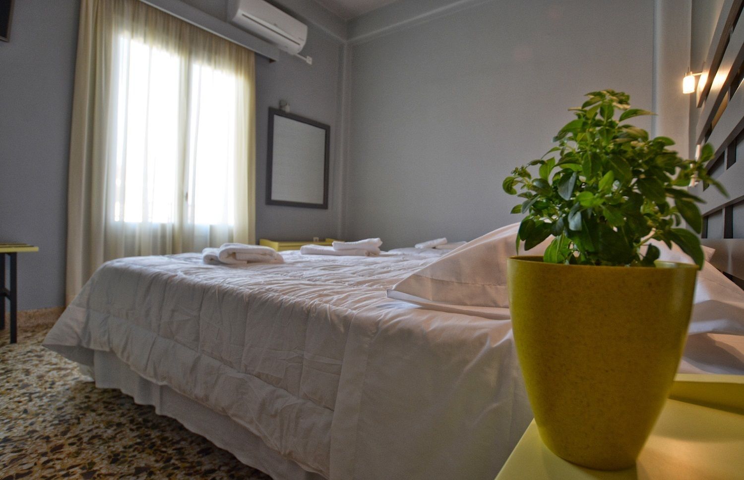 A hotel room with a bed, a potted plant, and a window with curtains.