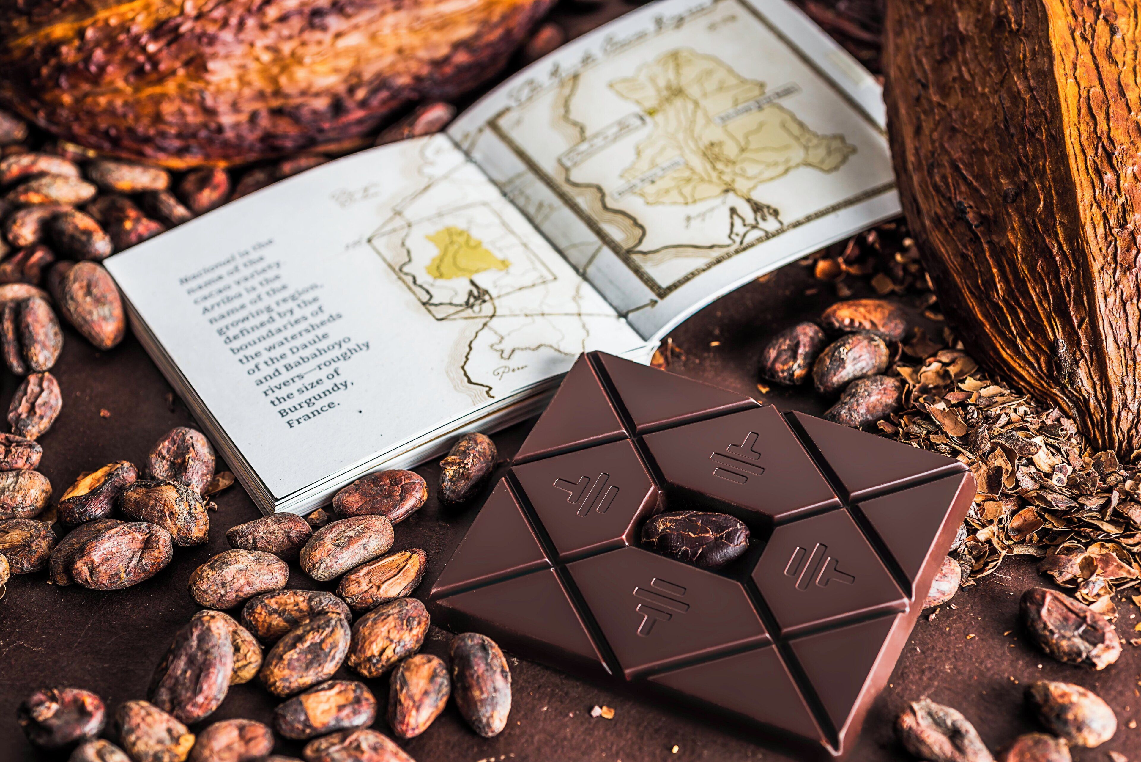 A book with a map and text, surrounded by cocoa beans and a chocolate bar.