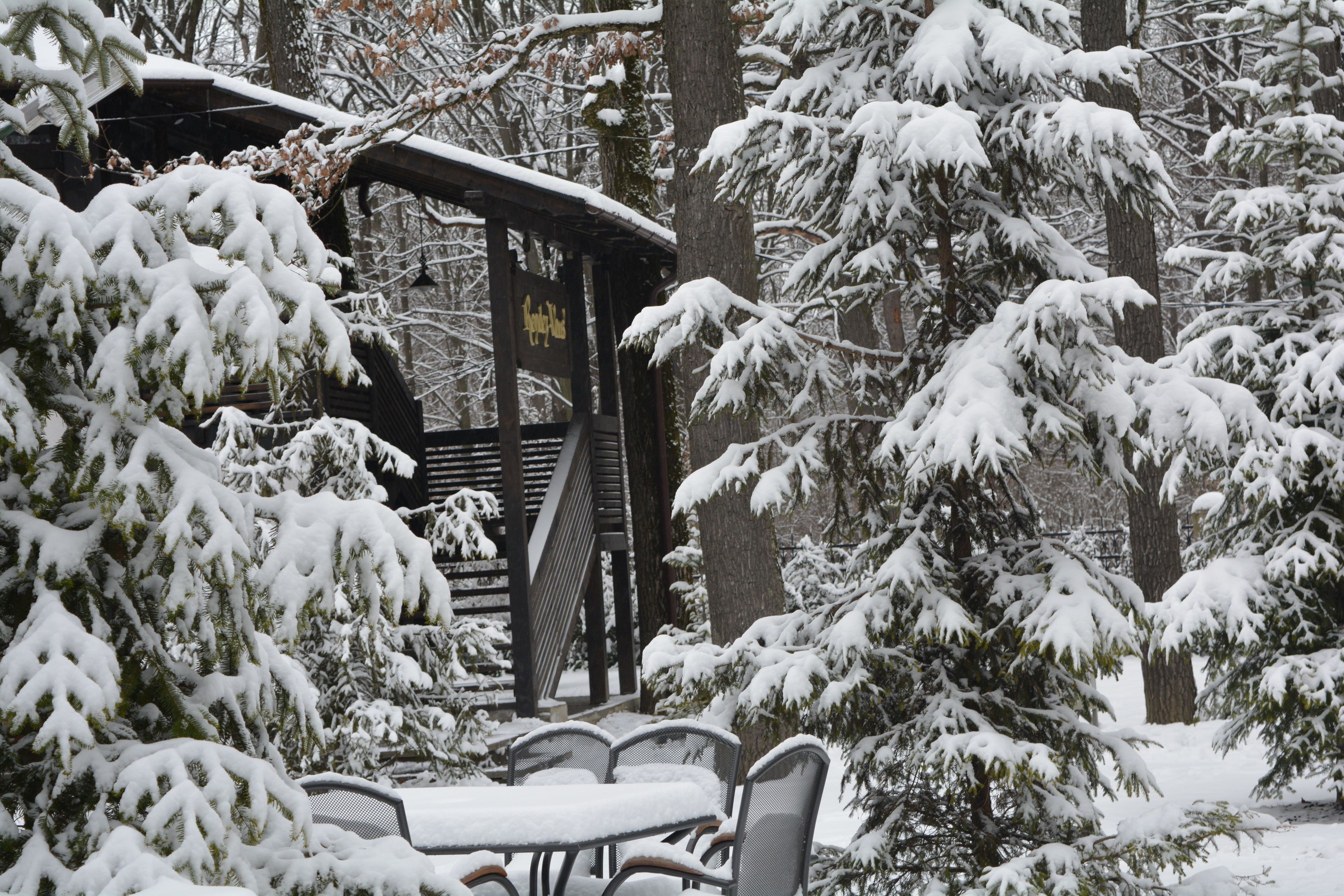 A wooden cabin with a covered patio area, surrounded by snow-covered trees.