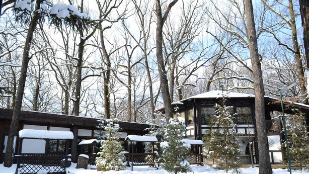 A snow-covered outdoor area with a wooden bench and a building with a curved roof. - Complex Turistic Cornul Vanatorului (Pitesti)