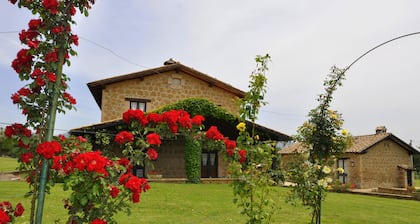 Borgo Nociquerceto