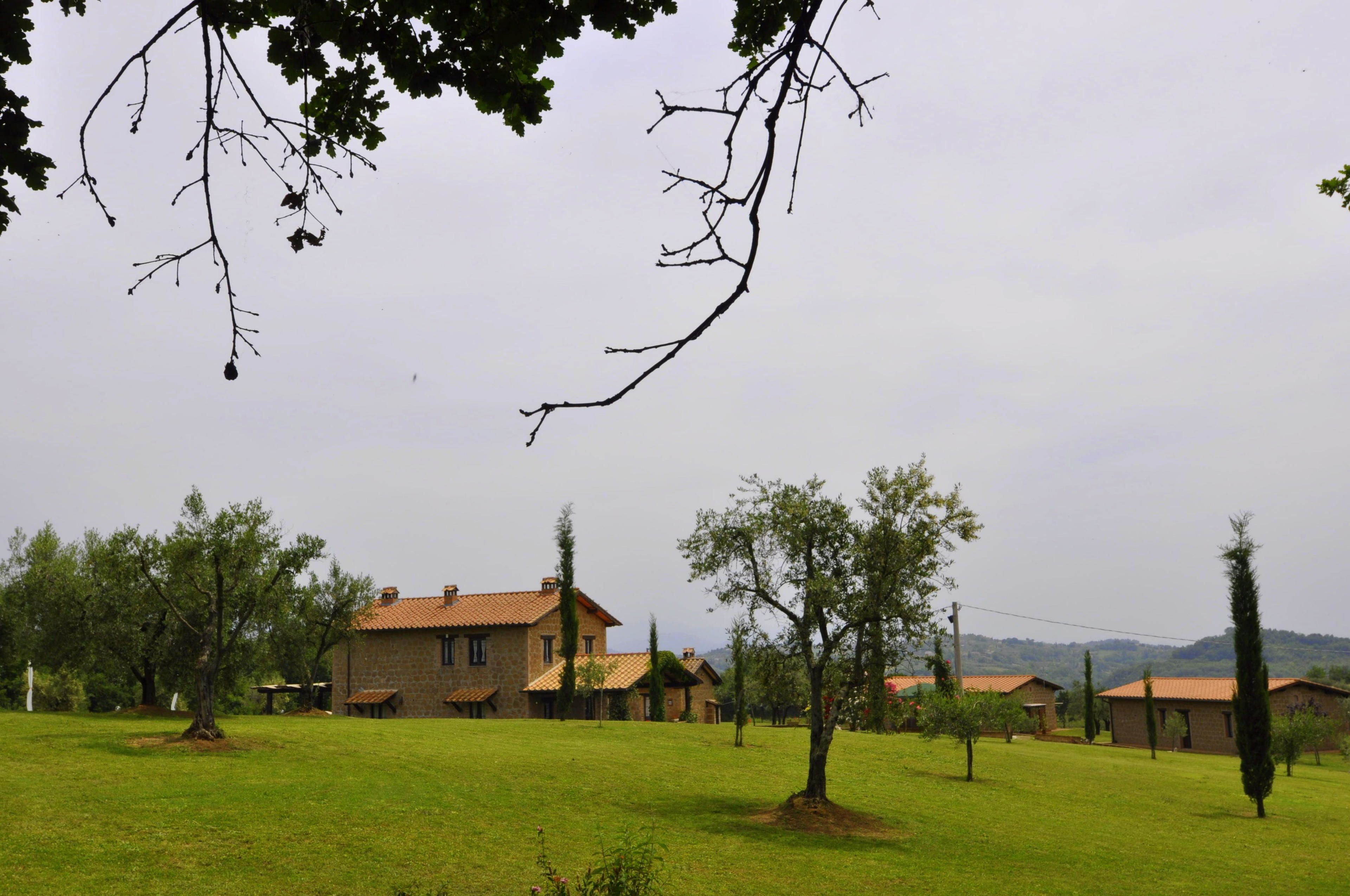 Una casa de piedra con techo de tejas, rodeada por un campo cubierto de hierba y árboles.