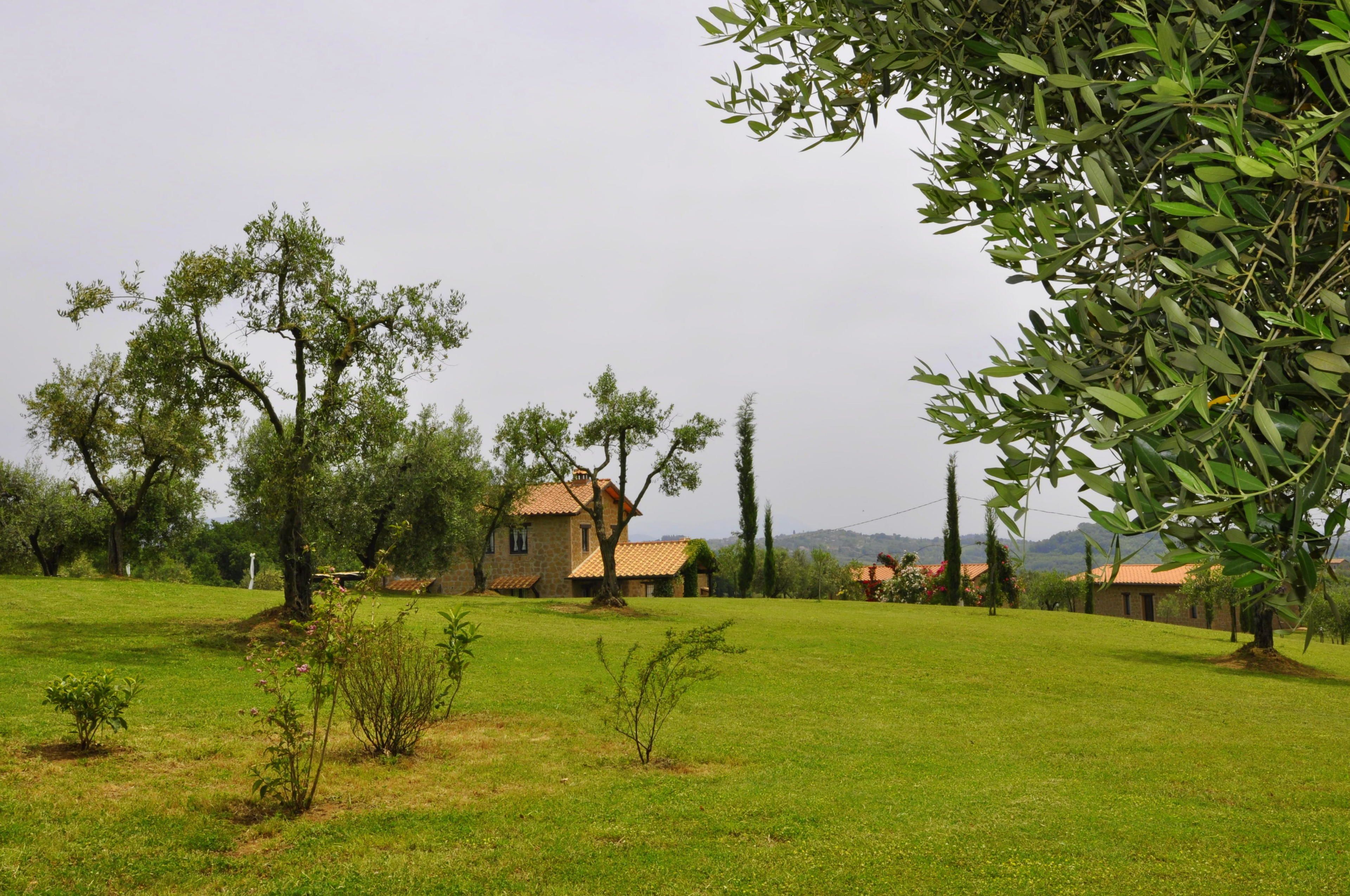 Un paisaje rural con una casa de piedra, rodeada de árboles y un campo cubierto de hierba.