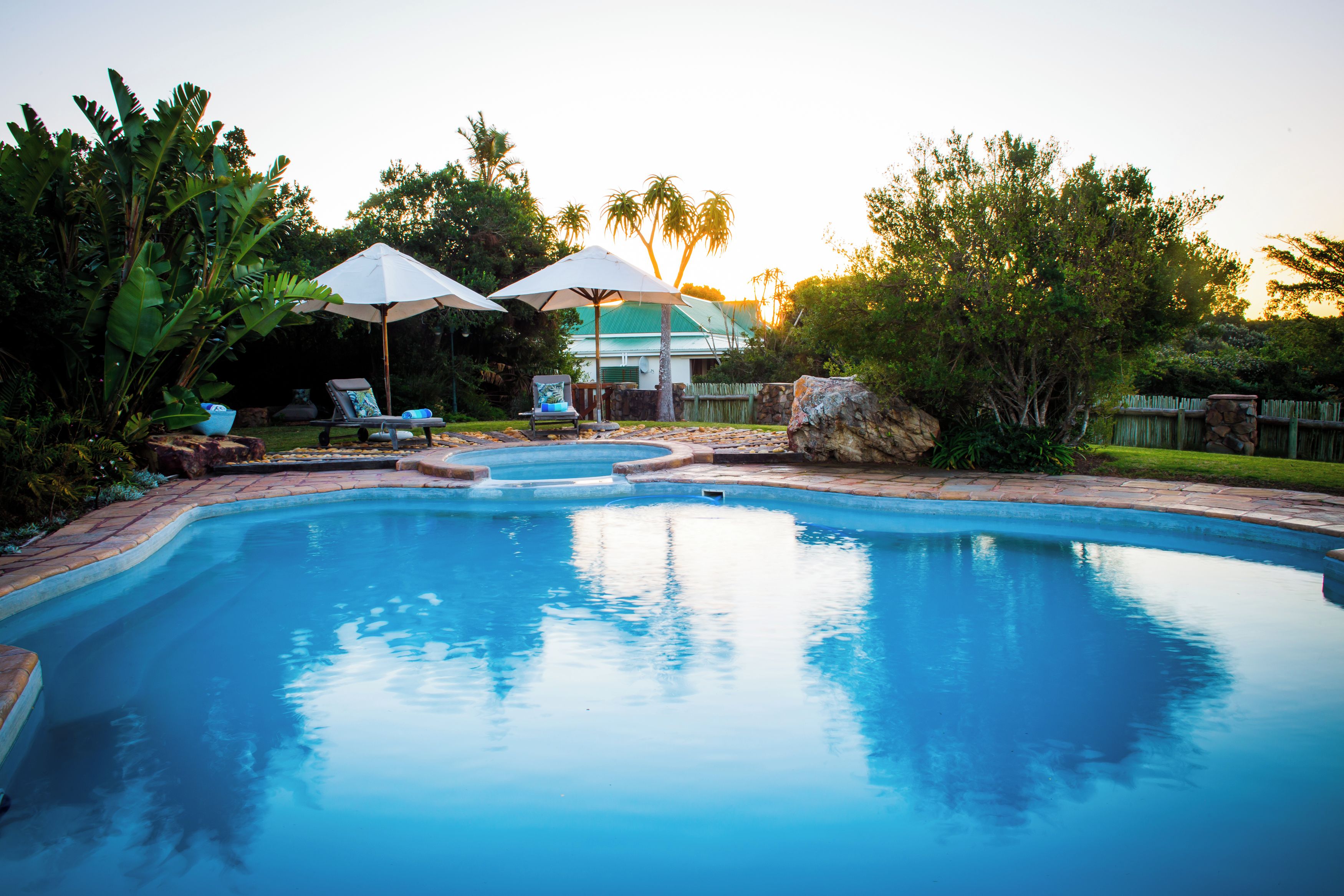 A swimming pool with lounge chairs and umbrellas, surrounded by tropical vegetation and a house in the background.