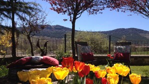 Un jardín con tulipanes y sillas, una valla y montañas al fondo.