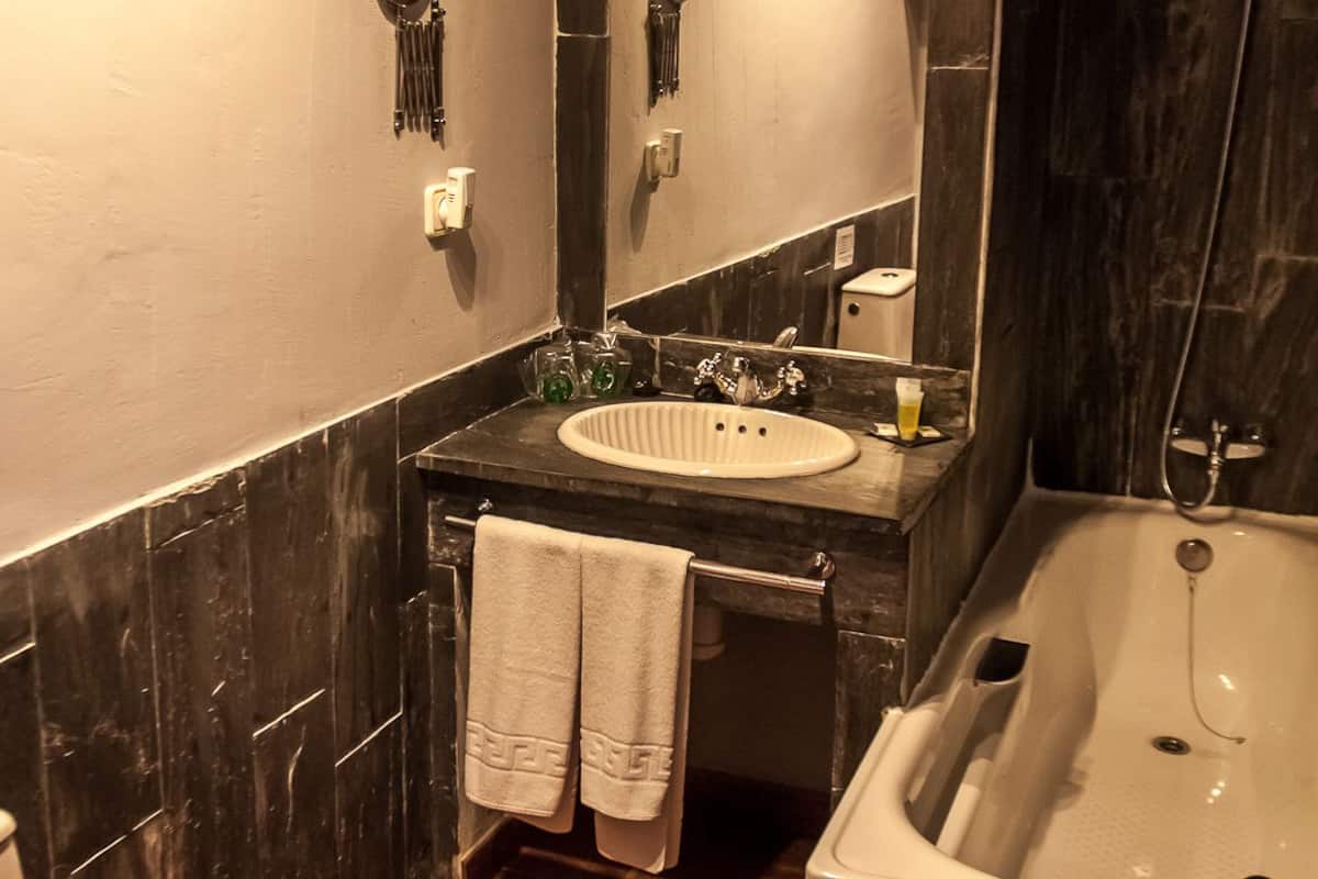 combined shower/bathtub, free toiletries, hair dryer, towels