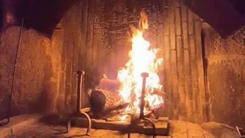 A fireplace with burning logs and a metal grate.