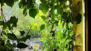 Vista a través de una ventana con marco de madera, una pared de piedra y un jarrón grande con plantas.