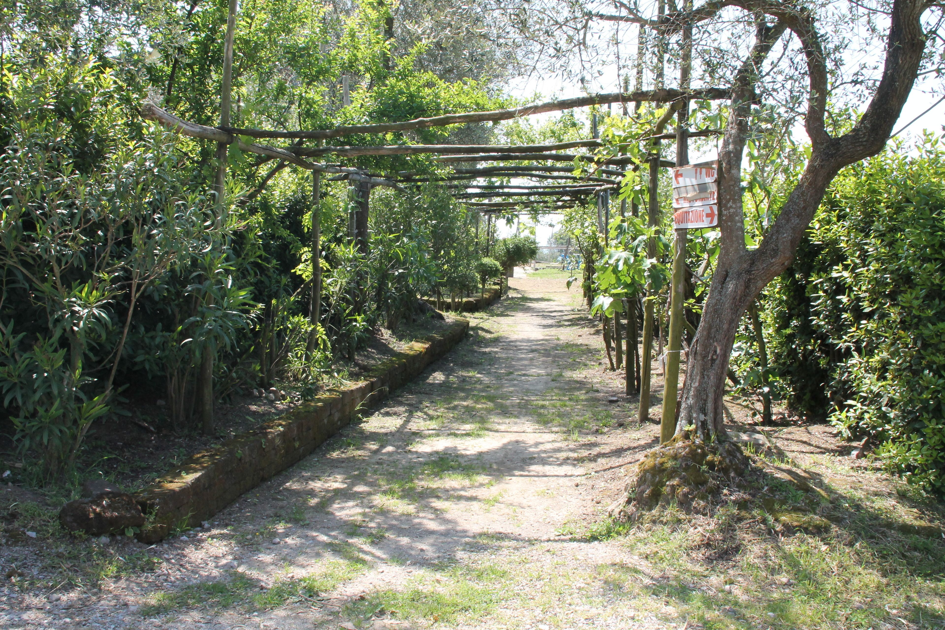 Foto - Agriturismo Piccolo Paradiso