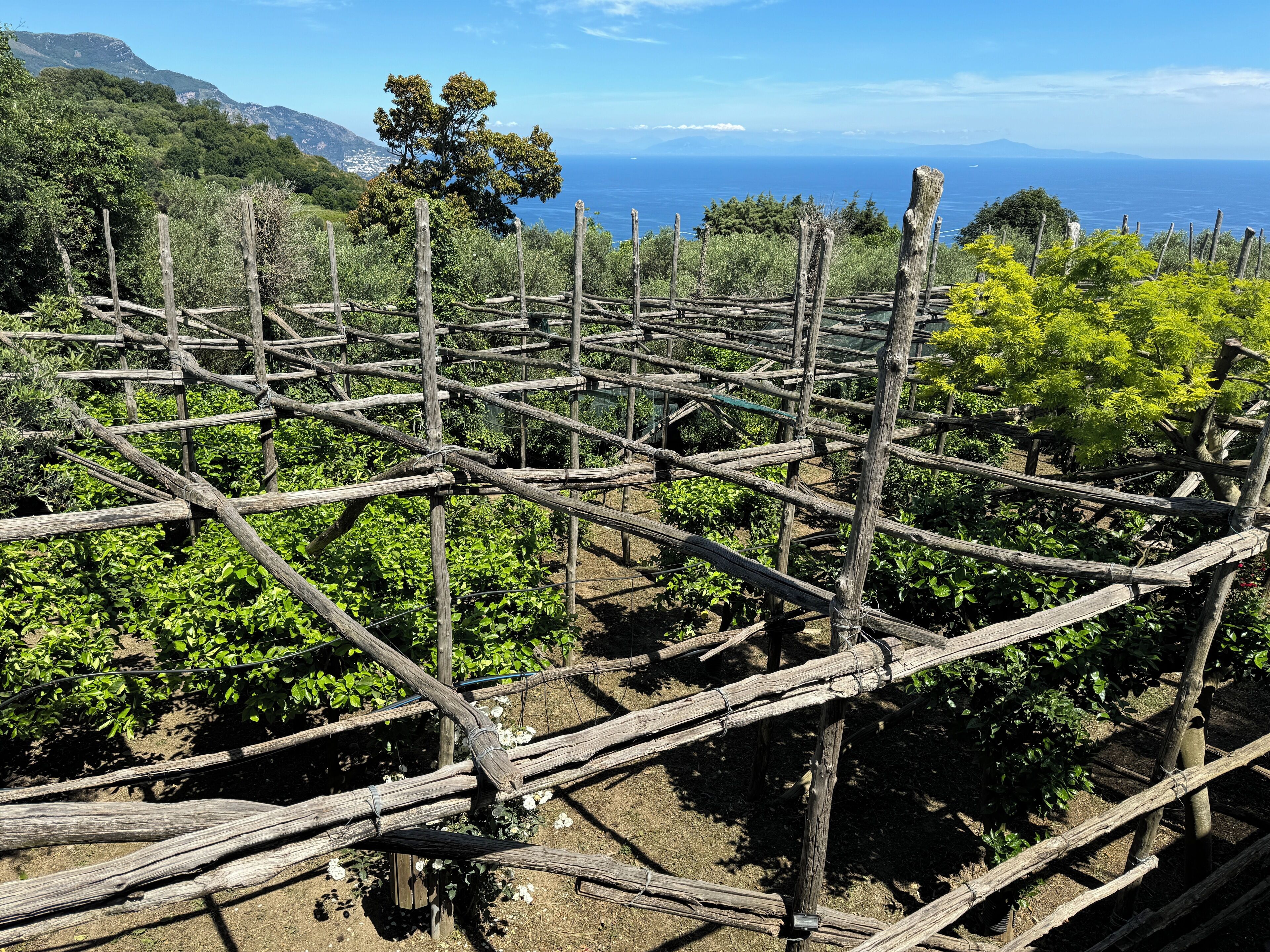 Foto - Agriturismo Piccolo Paradiso