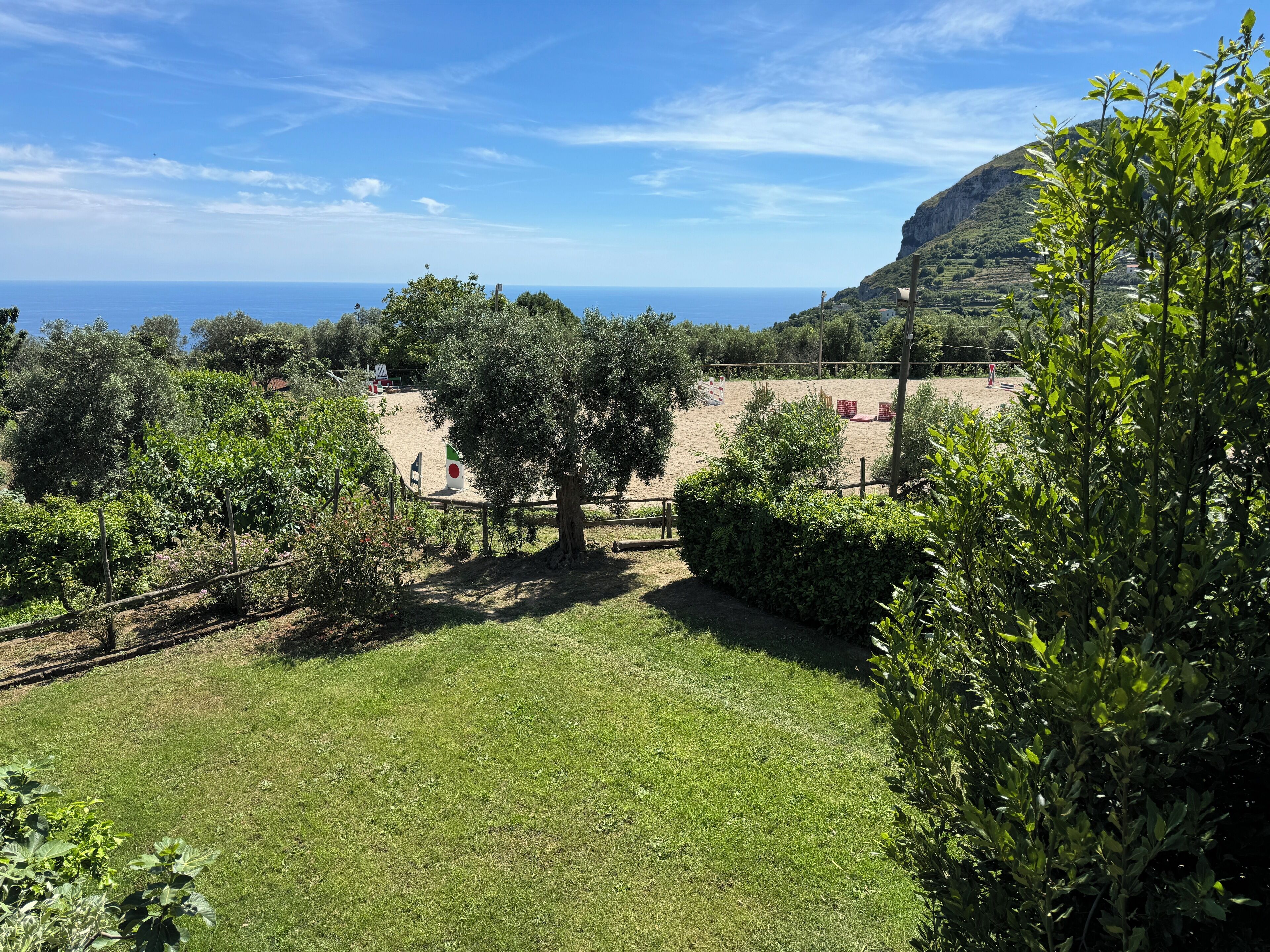 Foto - Agriturismo Piccolo Paradiso