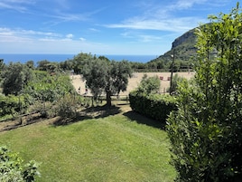 Área gramada com cerca, árvores e vista para o mar e uma colina ao longe.