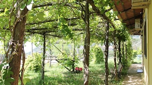 Un espacio exterior cubierto con un sendero, árboles y una estructura con techo.