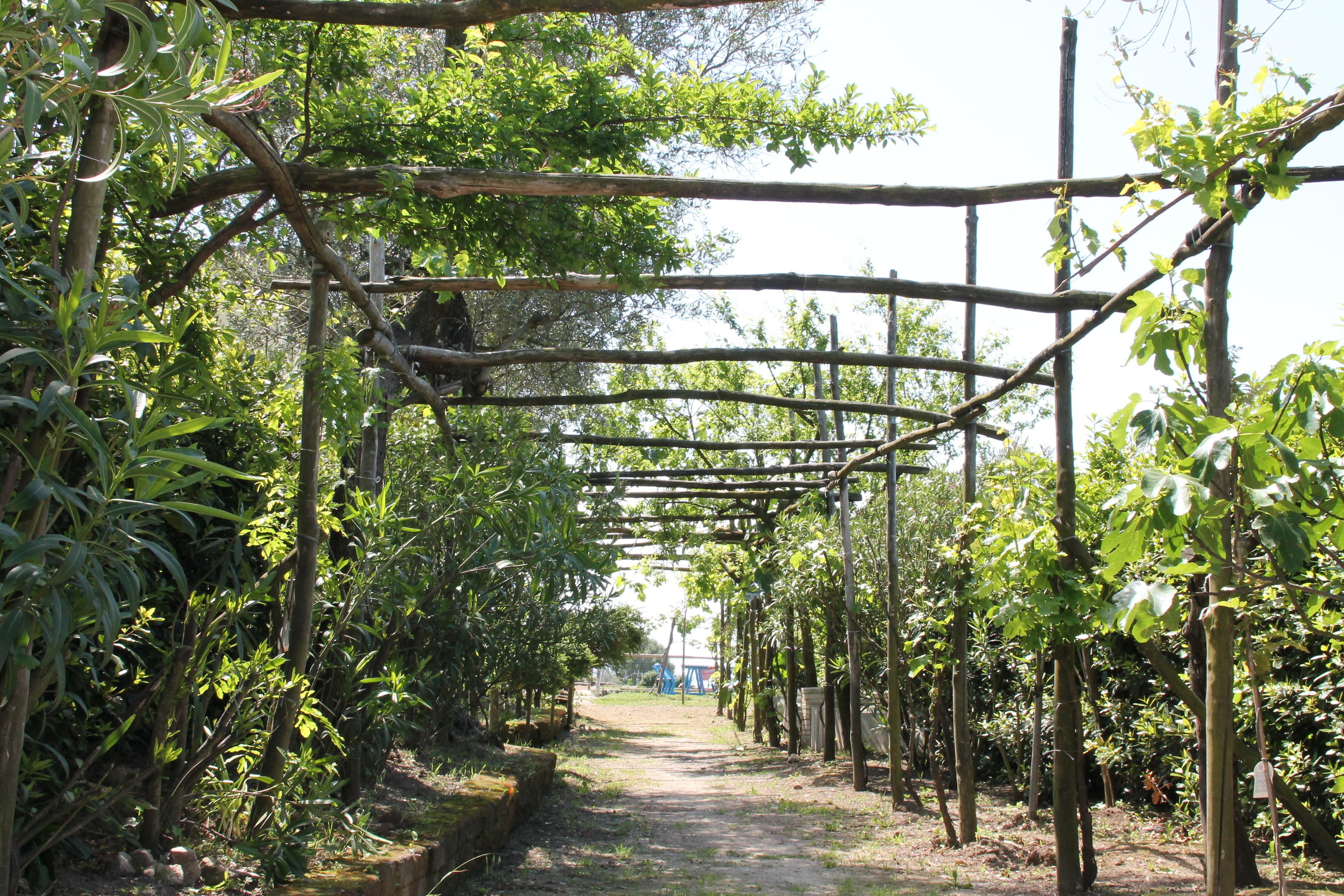 Foto - Agriturismo Piccolo Paradiso