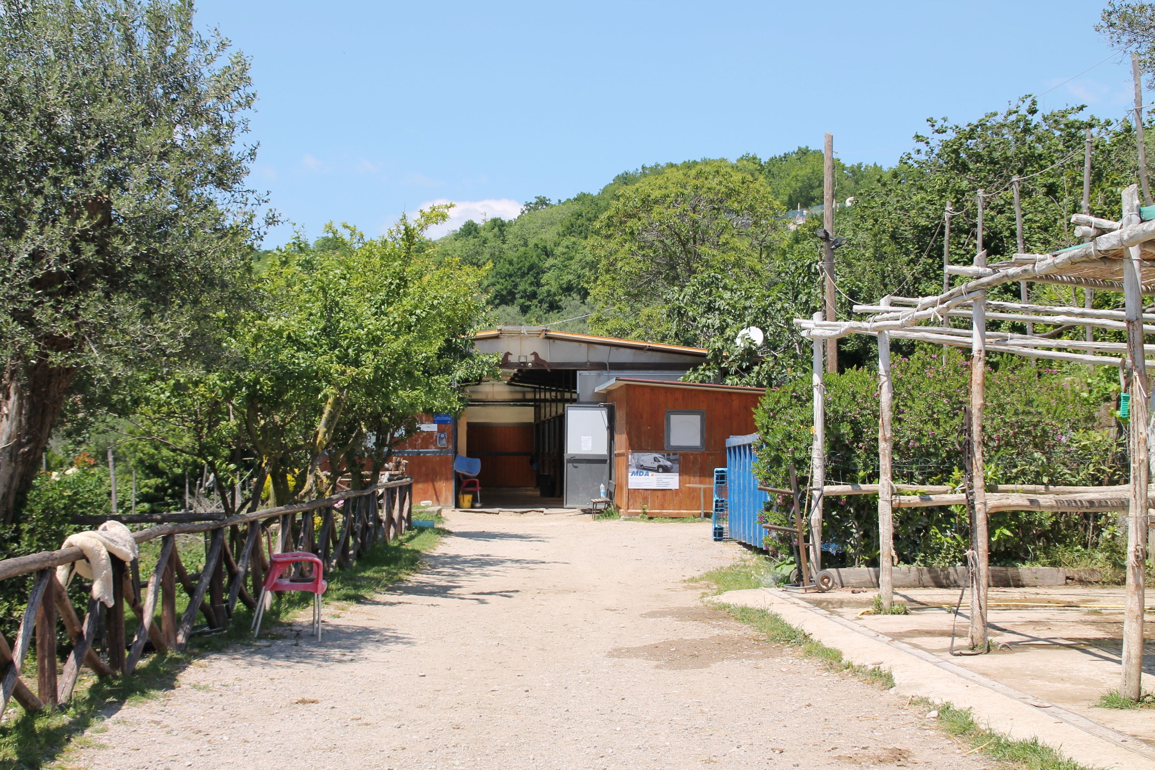 A rustic building with a dirt path leading to it, surrounded by trees and greenery.