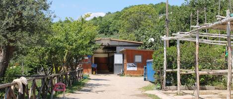 A rustic building with a dirt path leading to it, surrounded by trees and greenery.
