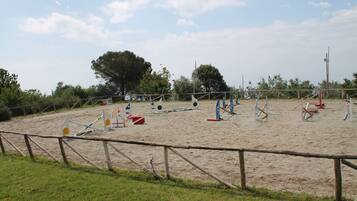 Ride and train in a spacious arena surrounded by trees and a grassy field.