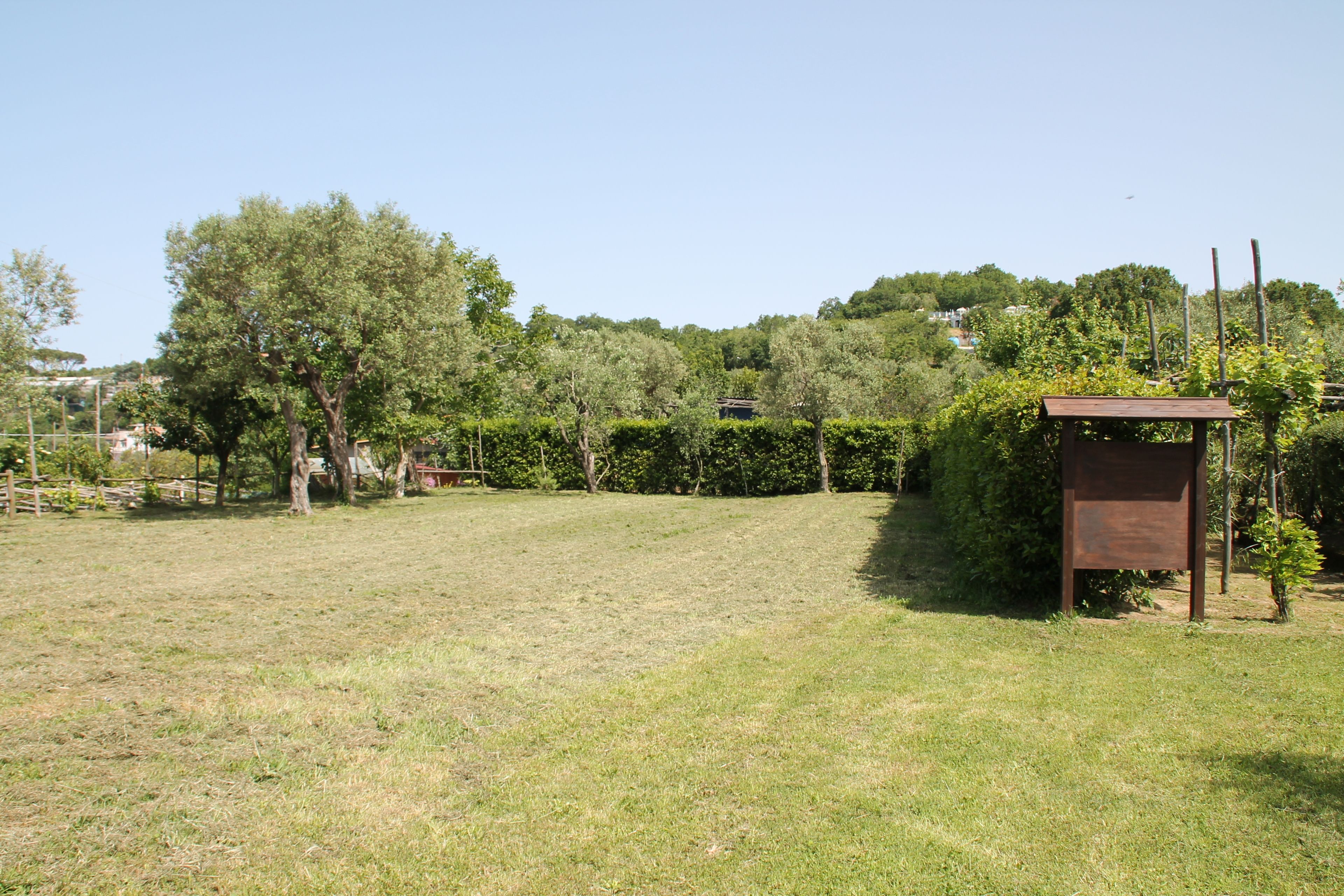 A grassy outdoor area with a wooden structure, trees, and a clear sky.
