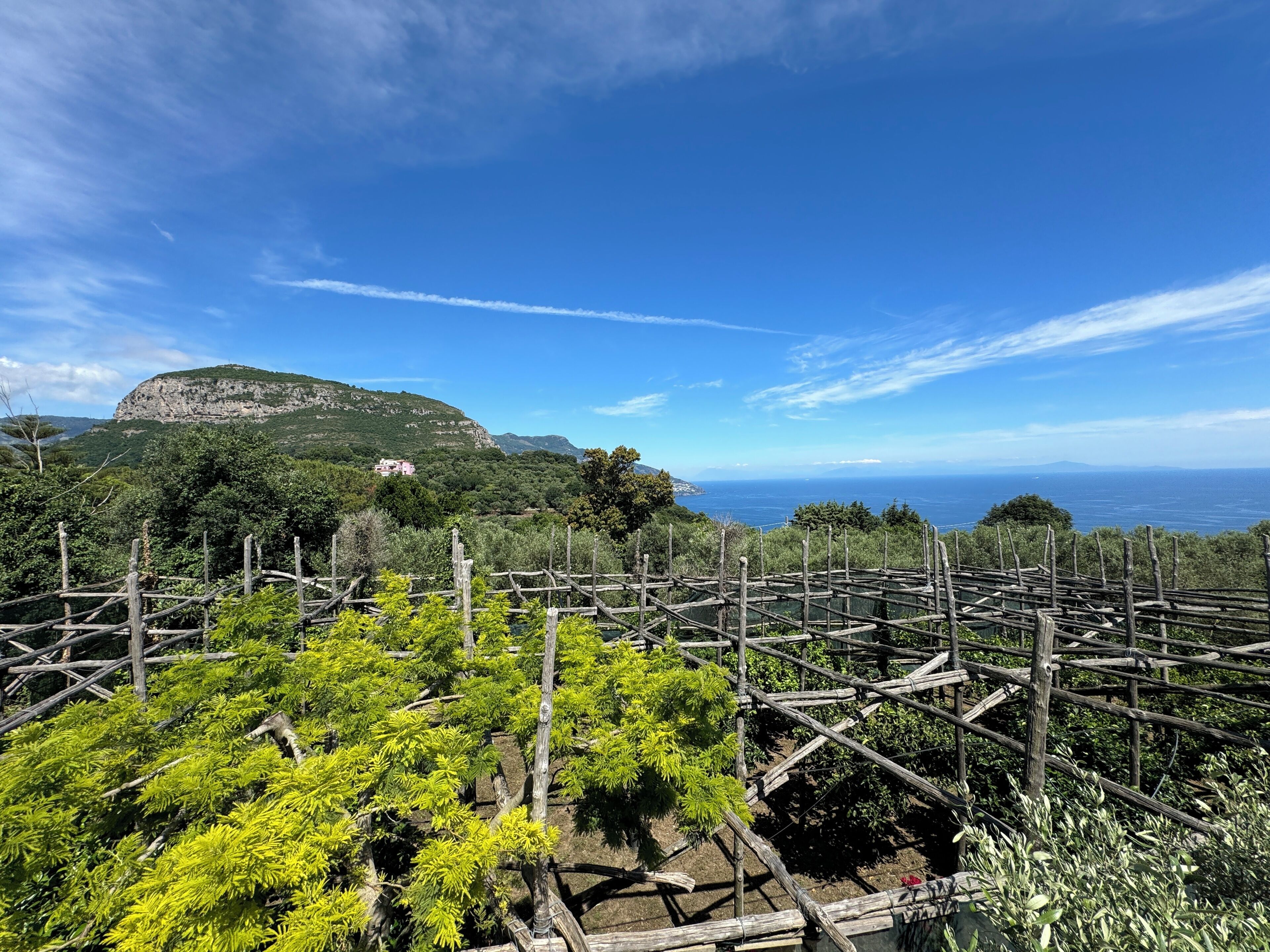 Foto - Agriturismo Piccolo Paradiso