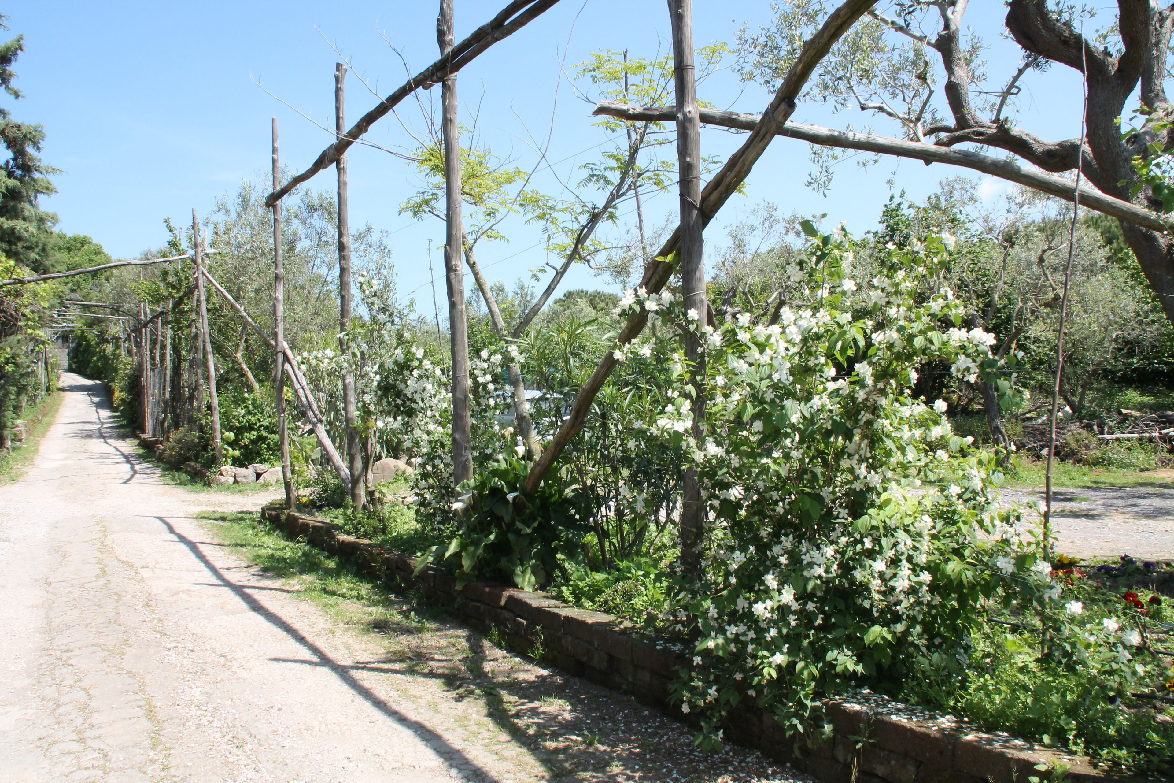 Foto - Agriturismo Piccolo Paradiso