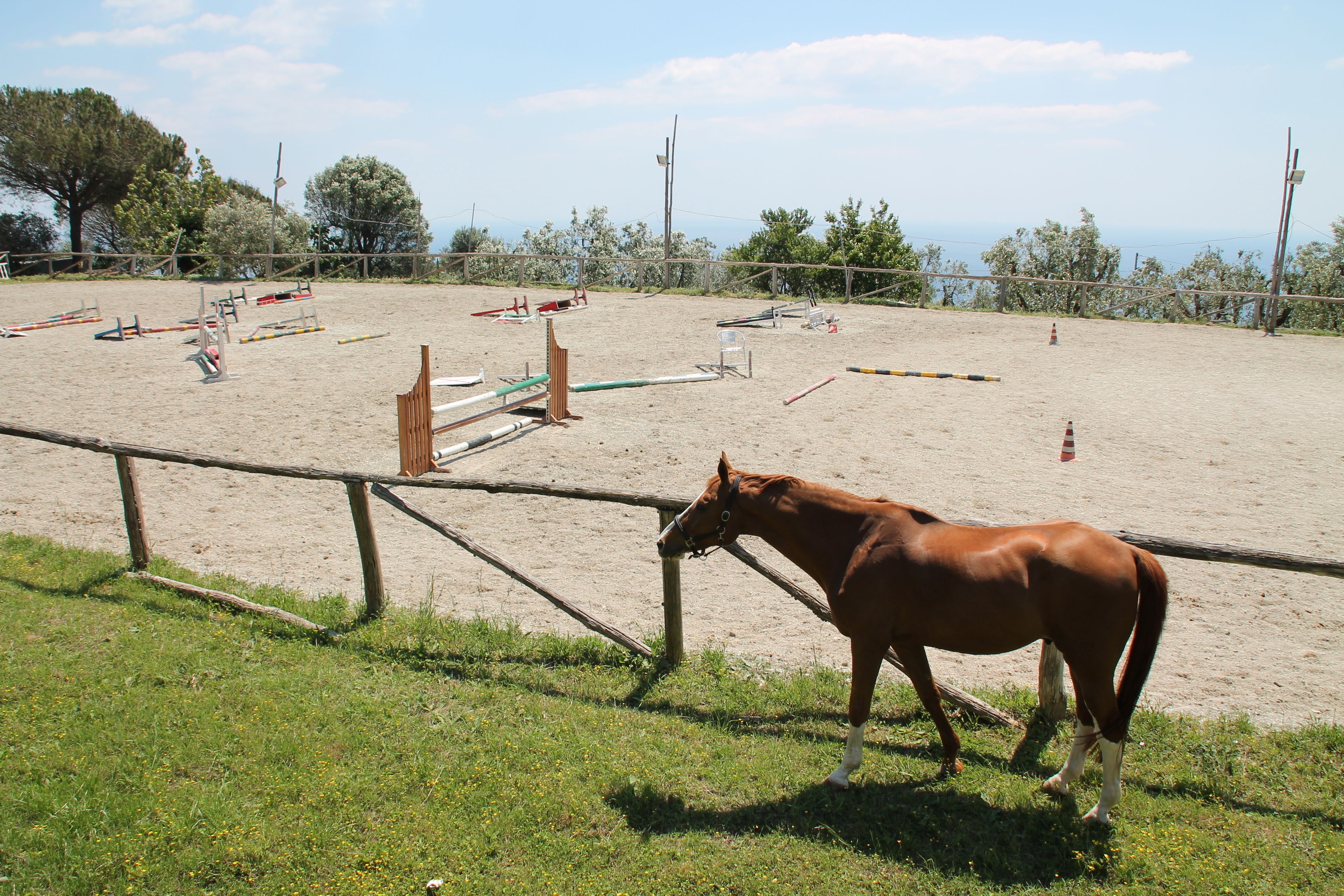Foto - Agriturismo Piccolo Paradiso