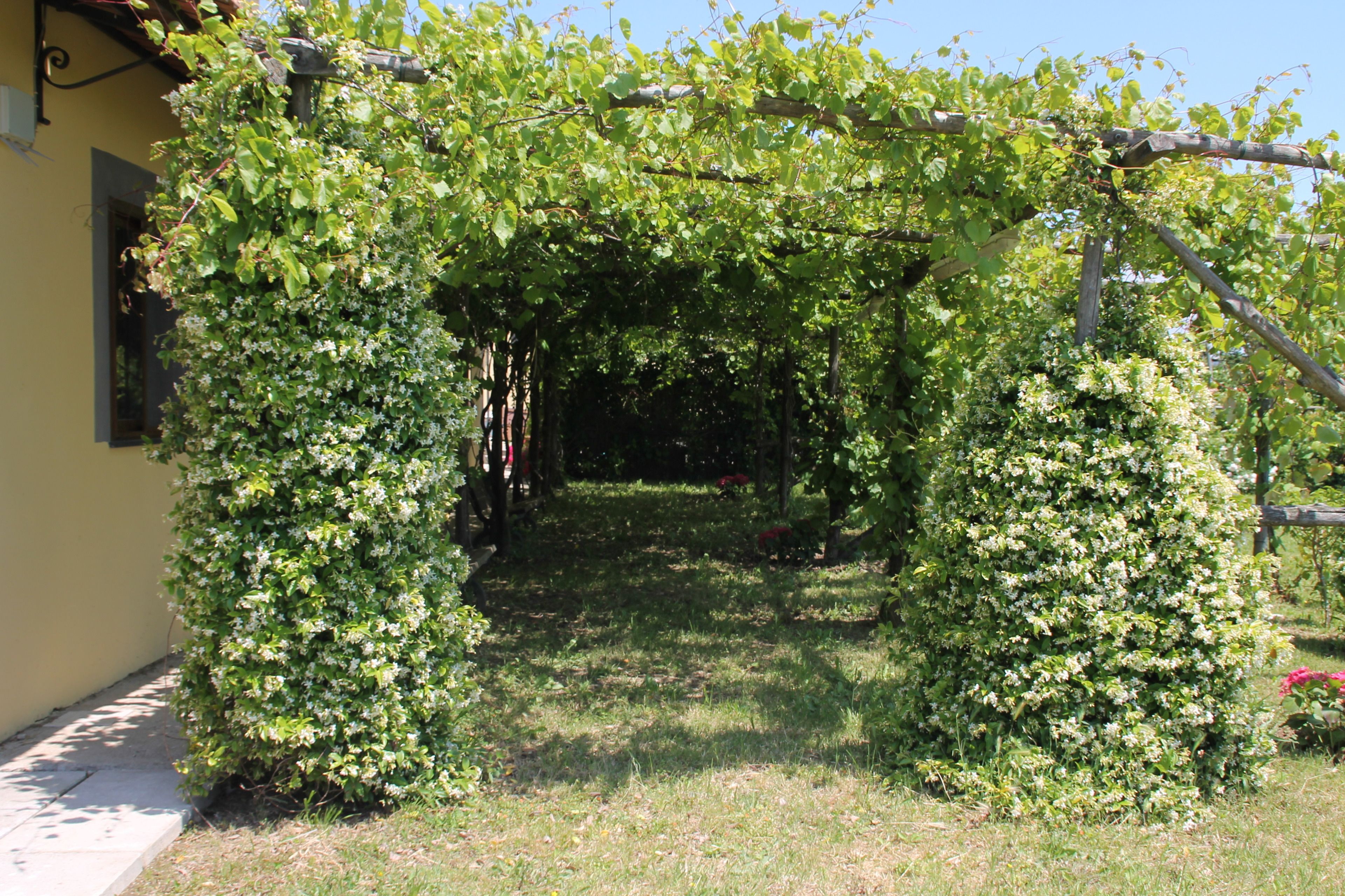 Foto - Agriturismo Piccolo Paradiso