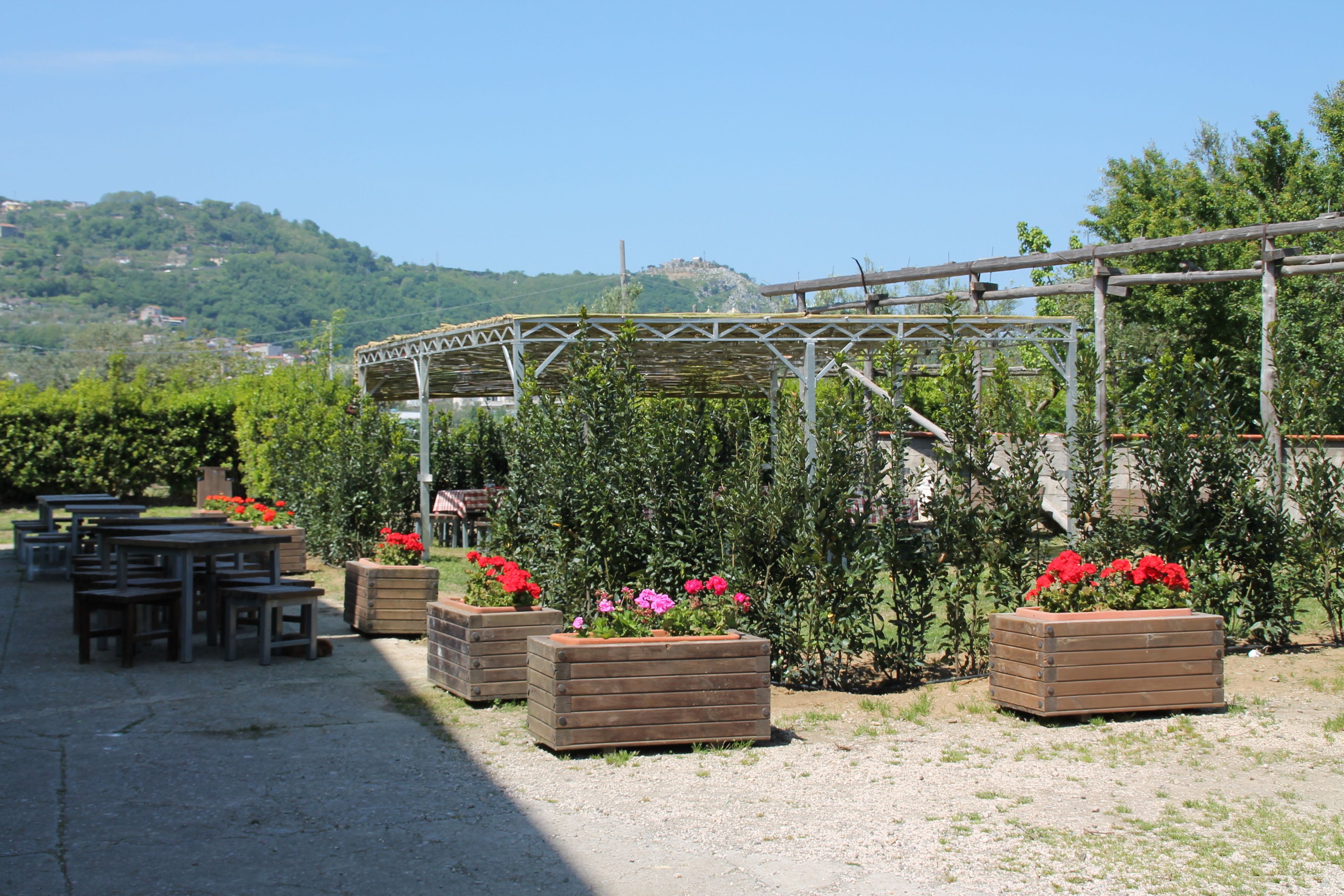 Foto - Agriturismo Piccolo Paradiso