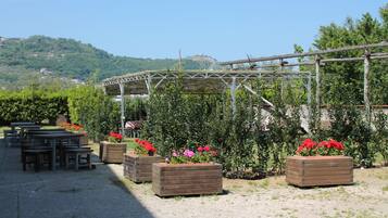 Jardin